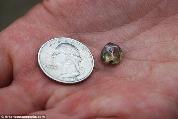 Cậu bé 12 tuổi tìm thấy kim cương cực lớn trong công viên ảnh 2