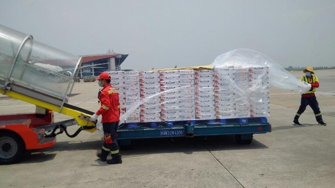 Đề xuất cấp phép bay vận chuyển hàng hóa cho IPP Cargo của ông Nguyễn Hạnh ảnh 1