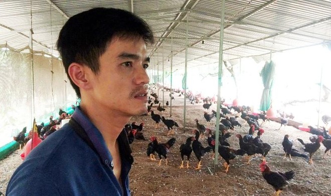 Việt Nam vẫn trong cảnh “tăng xuất khẩu gạo để nhập khẩu ngô” ảnh 1