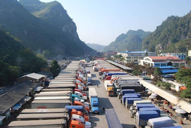 Lạng Sơn tạm dừng tiếp nhận xe chở trái cây tươi xuất khẩu đi Trung Quốc từ 17-1 ảnh 1
