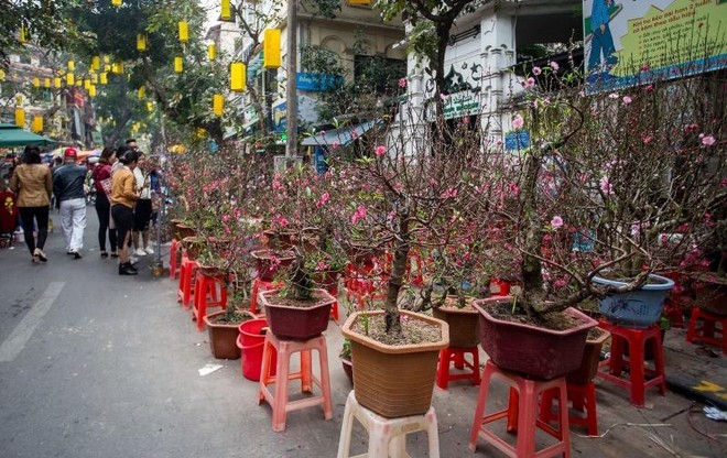 Cấm đường nhiều tuyến phố cổ để tổ chức Chợ hoa Xuân Nhâm Dần ảnh 1