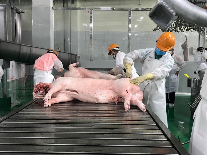 Lãnh đạo Bộ Nông nghiệp: Có tình trạng tuồn thịt lợn chặt mảnh qua biên giới Trung Quốc ảnh 2
