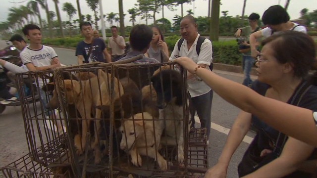 Lễ hội thịt chó gây tranh cãi ở Trung Quốc ảnh 1