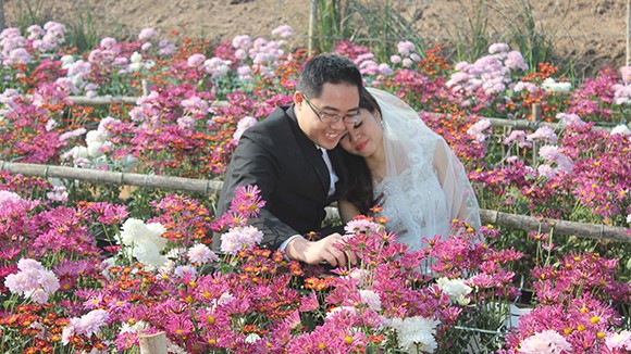 Vườn hoa Nhật Tân thu hút giới trẻ trong dịp Tết Giáp Ngọ ảnh 2