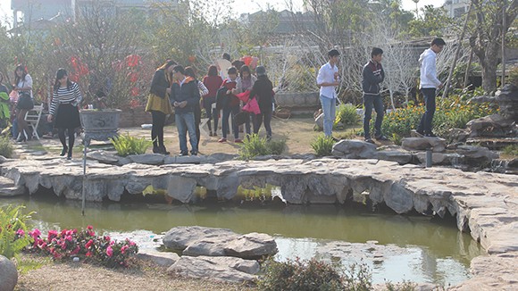 Vườn hoa Nhật Tân thu hút giới trẻ trong dịp Tết Giáp Ngọ ảnh 4