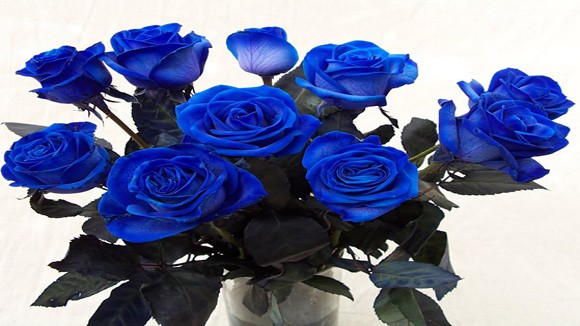 Gối trái tim, hoa hồng xanh- hàng "độc" ngày Valentine ảnh 3