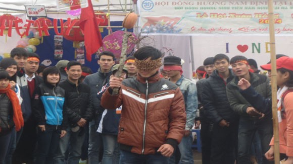 Hàng nghìn người tham dự "lễ hội Xuân Hồng 2014" ảnh 12