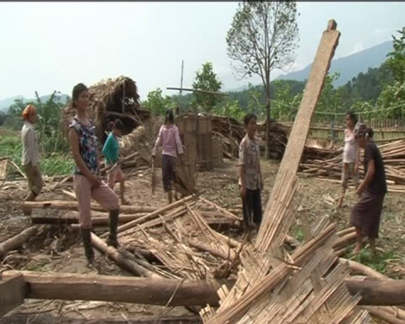Lốc xoáy khiến hàng trăm ha lúa và hoa màu bị tàn phá ảnh 2