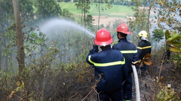 Kịp thời dập tắt cháy rừng ở núi Thiên Ấn ảnh 1