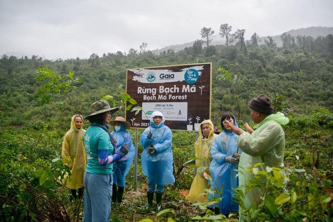 Phát động chương trình “Góp email trồng rừng”, ủng hộ 2.000 cây tới Vườn quốc gia Bạch Mã ảnh 1