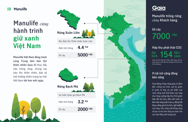 Manulife Việt Nam cùng khách hàng trồng rừng, hướng tới một tương lai bền vững ảnh 1