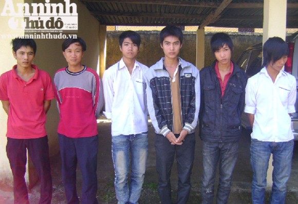 Bắt 3 nhóm, 10 đối tượng chuyên trộm cắp cây cảnh ảnh 2