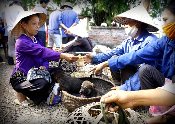 Phóng sự ảnh: Áo tơi chợ Nủa ảnh 4