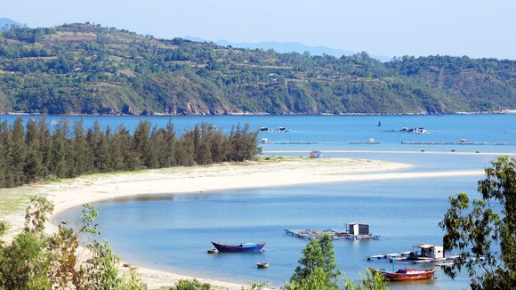 Bốn mùa xanh mát trên vịnh Vân Phong ảnh 1