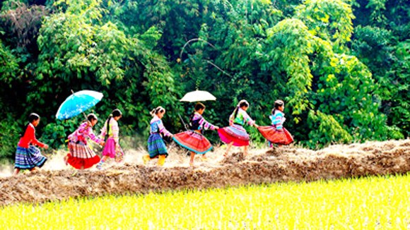 “Việt Nam - vẻ đẹp bất tận” ảnh 1