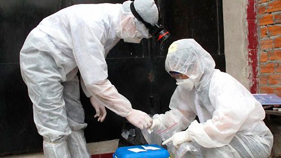 Ninh Thuận: Công bố dịch bệnh cúm H5N1 trên đàn chim yến nuôi ảnh 1