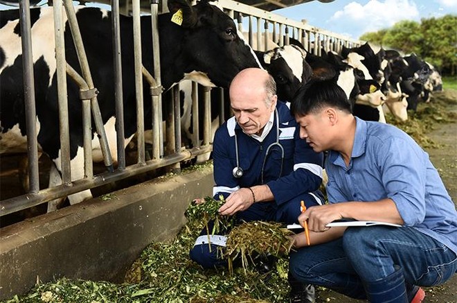 Nhà máy Hà Nam của doanh nghiệp Sữa Cô Gái Hà Lan được vinh danh ‘Doanh nghiệp tiêu biểu xuất sắc’ vì những đóng góp phát triển bền vững ảnh 3