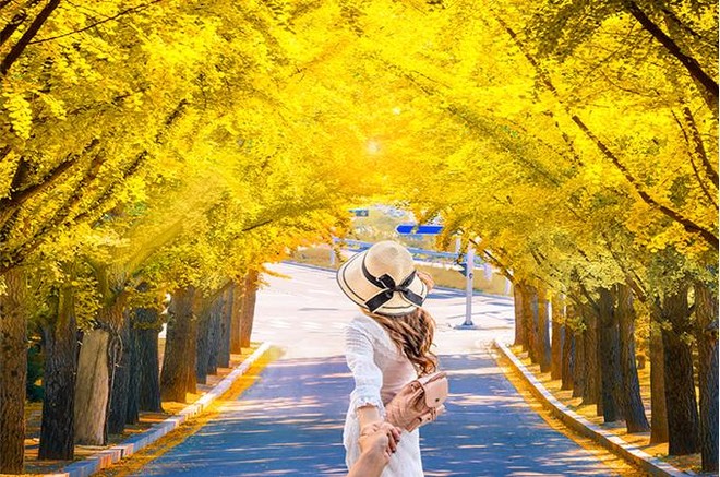 Vi vu xứ Hàn ngắm lá phong mùa thu này với thẻ tín dụng VIB ảnh 1
