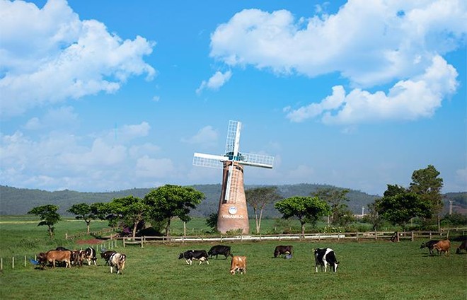 Cụm trang trại bò sữa Vinamilk Đà Lạt được vinh danh tại Giải thưởng môi trường Việt Nam ảnh 2