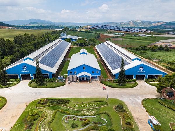 Cụm trang trại bò sữa Vinamilk Đà Lạt được vinh danh tại Giải thưởng môi trường Việt Nam ảnh 3