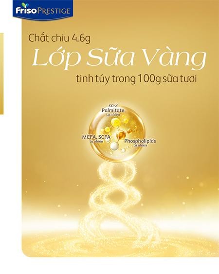 Lần đầu tiên, Friso Prestige với công thức dinh dưỡng đột phá và độc quyền có mặt tại thị trường Việt Nam ảnh 3