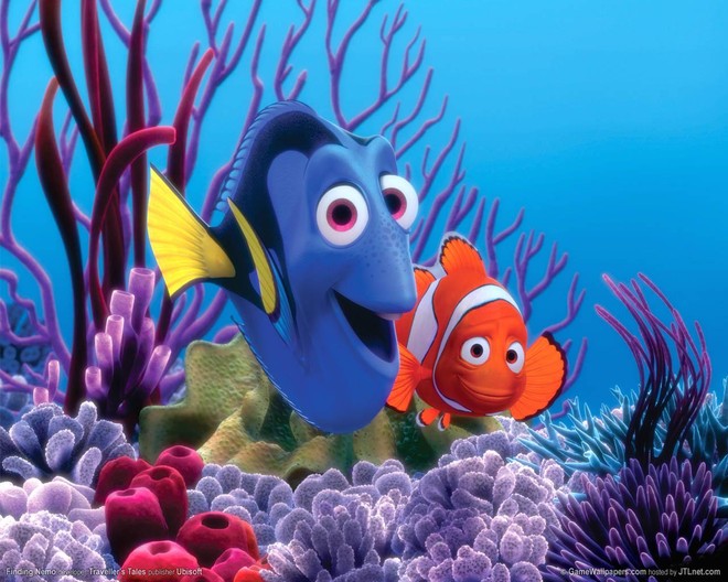 "Finding Nemo" phần tiếp theo sắp được ra mắt ảnh 1