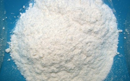 Nhật Bản phát hiện 48kg cocaine trôi dạt trên biển ảnh 1