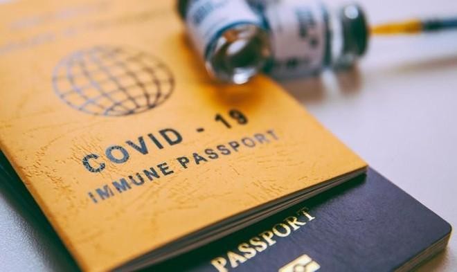 Những nước đã công nhận hộ chiếu vaccine Covid-19 của Việt Nam ảnh 1